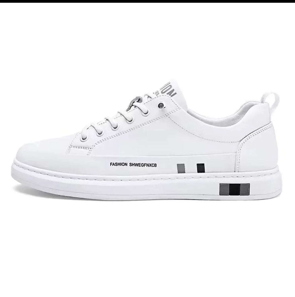 gid://shopify/MediaImage/25707778113606